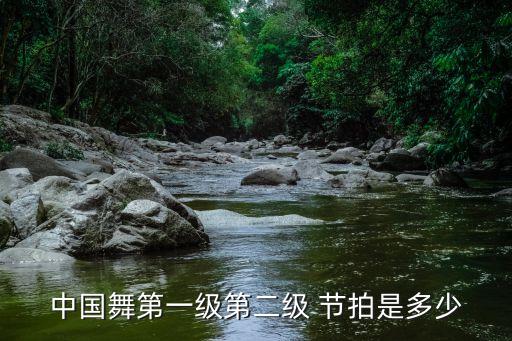 闪亮节拍舞蹈,拉丁舞音乐与步法分享节拍
