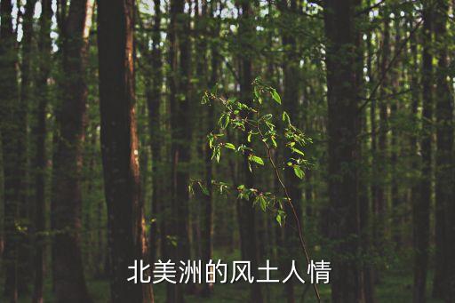  北美洲的风土人情
