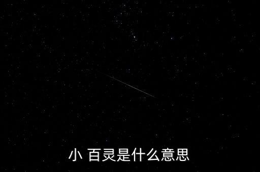 小 百灵是什么意思