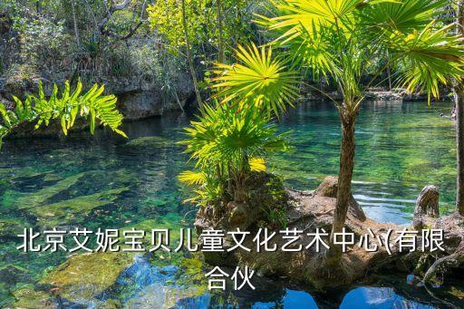 永兴舞蹈社,北京艾尼宝贝儿童文化艺术中心成立