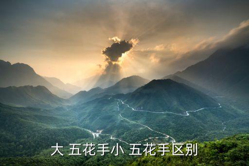 舞蹈五花手视频教学,五花肉大小手五花手各有千秋