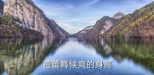 大连爽芭蕾舞蹈,白天鹅舞蹈健身中心专业舞蹈保健品供您选择
