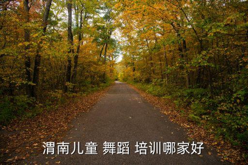 渭南儿童 舞蹈 培训哪家好