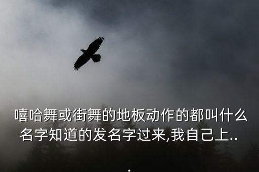  嘻哈舞或街舞的地板动作的都叫什么名字知道的发名字过来,我自己上...
