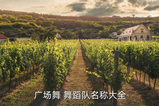 广场舞健身舞蹈队,第二集:广场舞