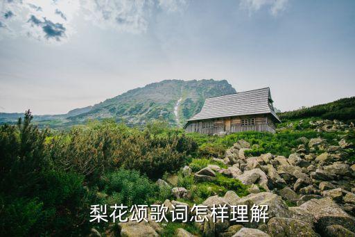 江西梨花颂舞蹈视频,李隆基和杨玉环的爱情故事