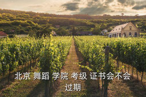 北京舞蹈学院考级证书有用吗,舞蹈考级证书有用吗?有用的!