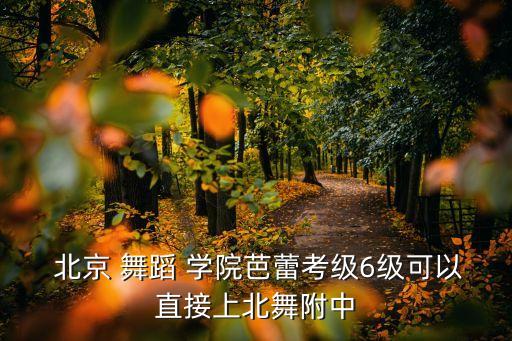北京舞蹈学院六级组合,如何考入北京舞蹈学院附中?