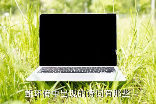 甄环传中出现的诗词有那些