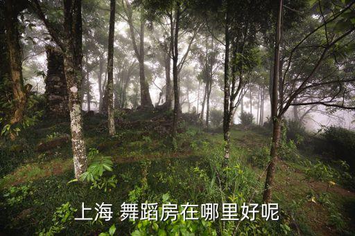 上海 舞蹈房在哪里好呢
