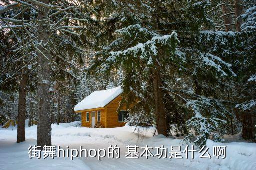 舞蹈基本功英语怎么写,舞蹈含义辨析: