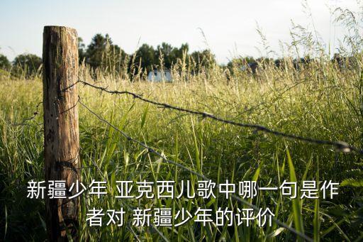  新疆少年 亚克西儿歌中哪一句是作者对 新疆少年的评价
