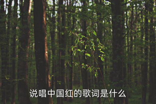 说唱中国红的歌词是什么