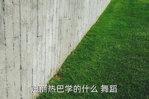 迪丽热巴学的什么 舞蹈