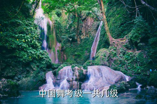 中国舞考级一共几级