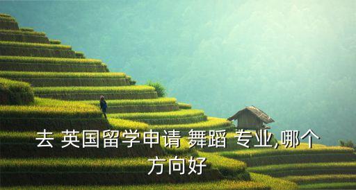 英国皇家舞蹈学院专业,中国留学生学芭蕾报名参加国际专业考试