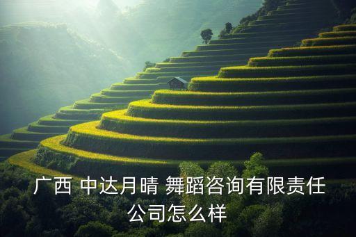  广西 中达月晴 舞蹈咨询有限责任公司怎么样