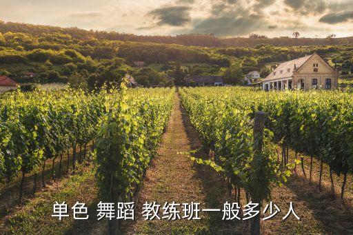 单色 舞蹈 教练班一般多少人