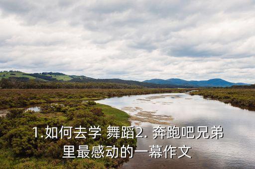 1.如何去学 舞蹈2. 奔跑吧兄弟里最感动的一幕作文