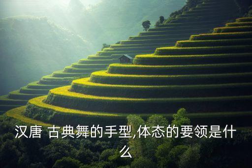 汉唐 古典舞的手型,体态的要领是什么