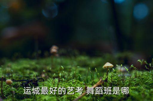 运城最好的艺考 舞蹈班是哪