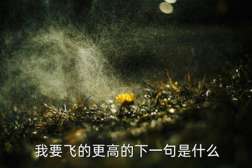  我要飞的更高的下一句是什么