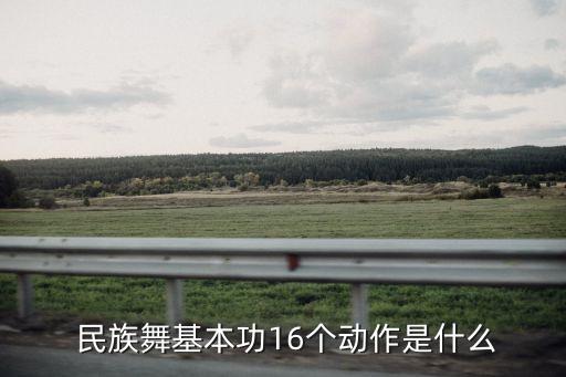  民族舞基本功16个动作是什么
