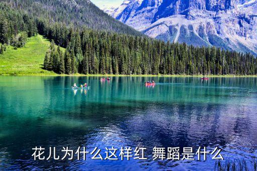 舞蹈一?{红,为什么这么红?