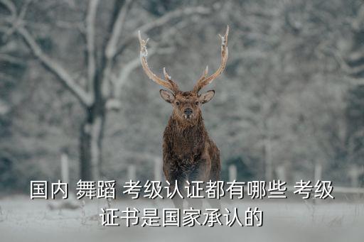 国内 舞蹈 考级认证都有哪些 考级证书是国家承认的