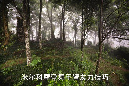 米尔科舞蹈照片,世界级芭蕾舞者跳起来像发动机一样抖动