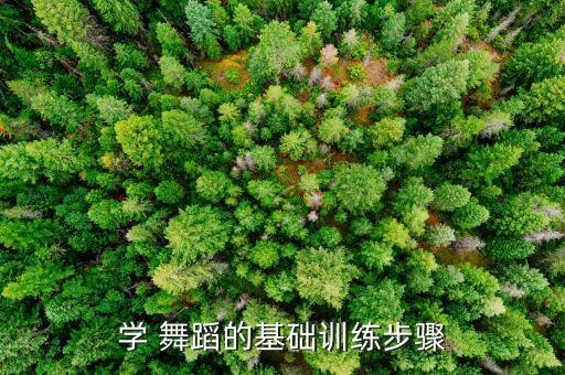舞蹈胸力练习的步骤,舞蹈胸腰动作要优美舒展不能以扩胸为主