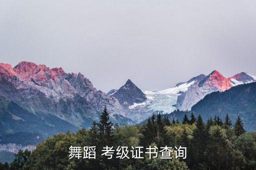 舞蹈家舞协考级官网,《中国舞蹈考级》编号考级可查到学生信息