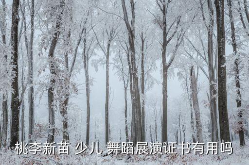桃李新苗 少儿 舞蹈展演证书有用吗