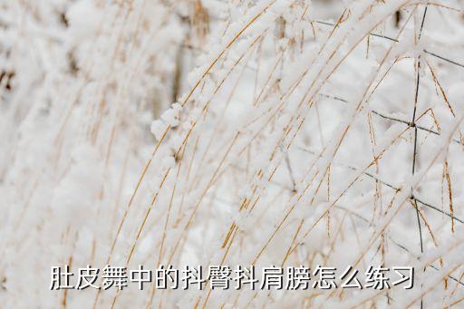 舞蹈抖肩基本动作视频教程,抖肩要放松肩膀古老舞蹈仍有体现