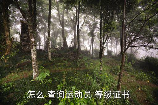 怎么 查询运动员 等级证书