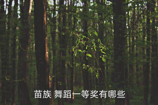  苗族 舞蹈一等奖有哪些