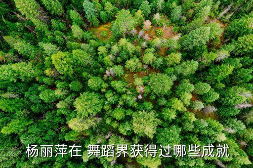  杨丽萍在 舞蹈界获得过哪些成就