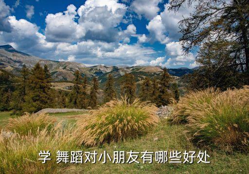学 舞蹈对小朋友有哪些好处