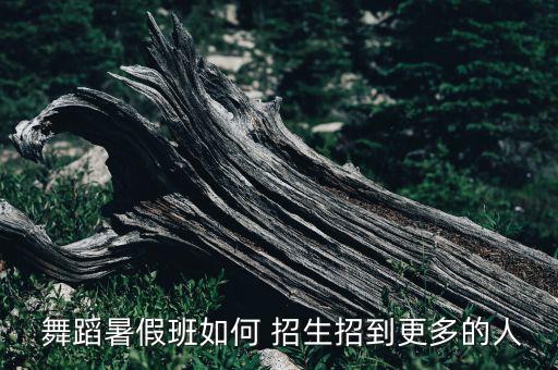  舞蹈暑假班如何 招生招到更多的人