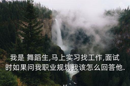 职场舞蹈,热门舞蹈专业是本科专业，学什么?