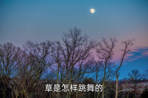 草是怎样跳舞的