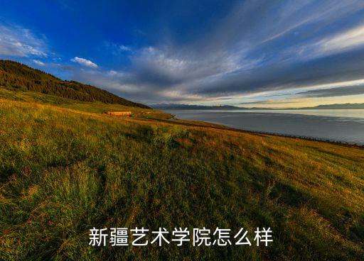 新疆艺术学院怎么样