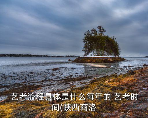  艺考流程具体是什么每年的 艺考时间(陕西商洛
