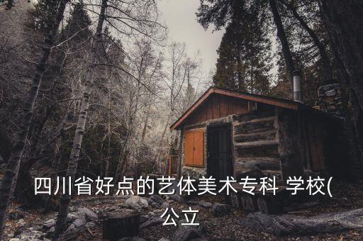  四川省好点的艺体美术专科 学校(公立
