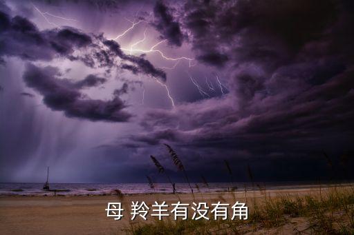 有没有羚羊的舞蹈,舞蹈storm之回来