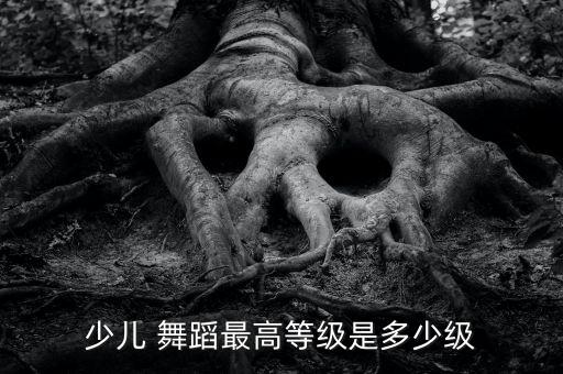 舞韵舞蹈考级4级,舞蹈大学中国舞蹈考级1-3级