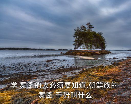 学 舞蹈的人必须要知道,朝鲜族的 舞蹈 手势叫什么