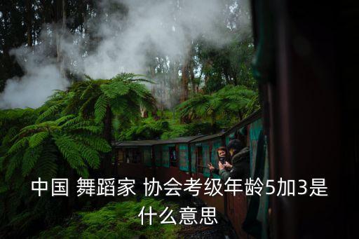 中国 舞蹈家 协会考级年龄5加3是什么意思