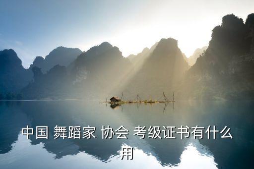 中国 舞蹈家 协会 考级证书有什么用