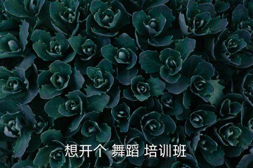 想开个 舞蹈 培训班